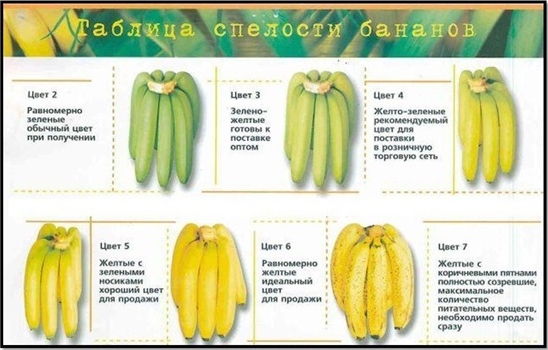 Таблица спелости бананов